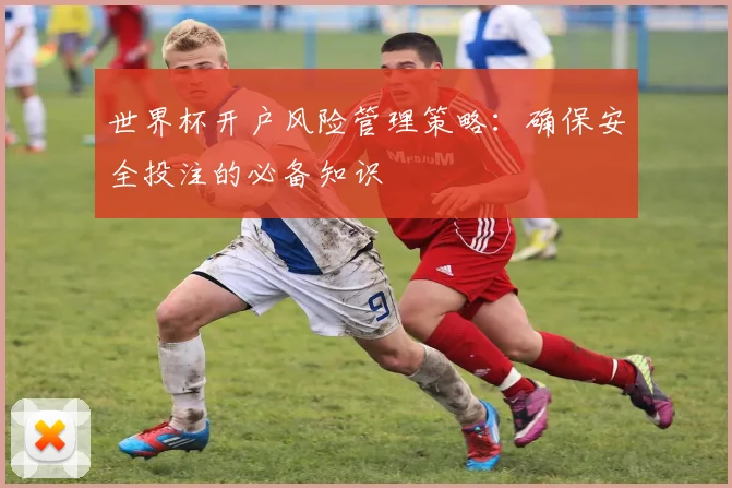 世界杯开户风险管理策略：确保安全投注的必备知识