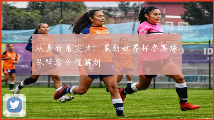 从身价看实力：最新世界杯参赛球队阵容价值解析