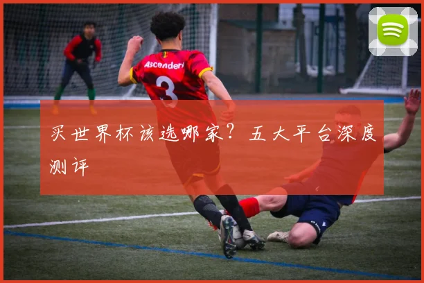 买世界杯该选哪家?五大平台深度测评